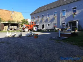 Gutshof und Ferienwohnung Proft - Image 2