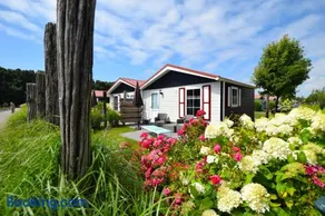 Vakantiepark de Meerpaal - Image 1