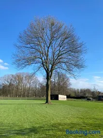 De oude es - Image 1