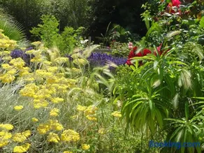 Studio "LA MEDINA", au coeur d'un merveilleux jardin, proche COMMERCES & MER - Image 3