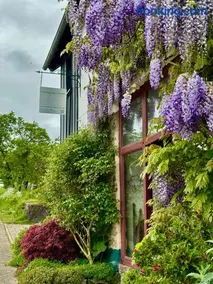 Ferienwohnung am Kräutergarten im Hunsrück 50qm - Image 3