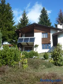 Arnika Montana - Image 1