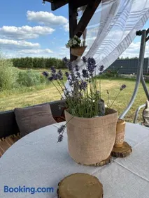 Dolina Królów Czersk glamping pole namiotowe - Image 2