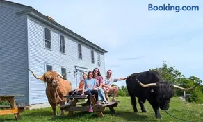 Wake Up to Highland "Coos" - Cozy Farm Suite with Panoramic Views - Image 2