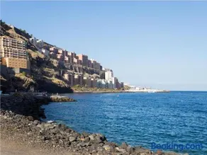 Live Tabaiba Maritime - Image 3