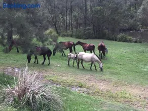 Emu Creek Retreat - Image 3