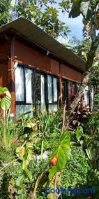 jungleadventure cabin camping - Image 2
