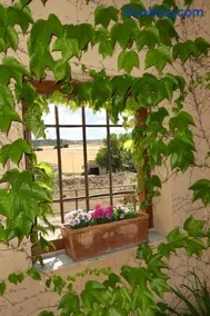 Casa del Portalón - Image 3