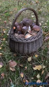 Pokoje Przy Warszawskiej - Image 2