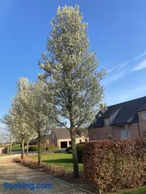 Hoeve Sterrewijk - Image 1