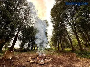 Private Countryside Guesthouse With BBQ & Firepit - Image 2