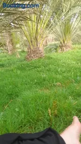 الجرف - Image 5