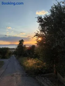 Verga Olive Grove Studio - Image 3