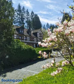 Pension Landhaus Machold - Image 2