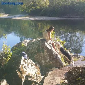 El Búho de la Remolina - Image 3