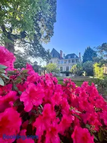 Demeure de Flore - Hôtel Particulier au Cœur de Brive comprenant 8 appartements de charme - Image 1