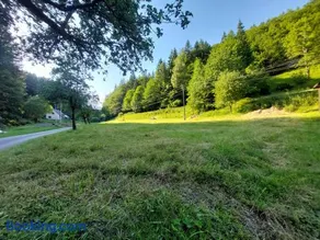 Only Meadow - Image 1