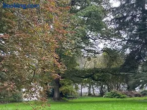 Le Château de John Miles au bord de l’eau - Image 2