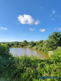 Hartland Forest Lodge with Lake View, North Devon - Image 3