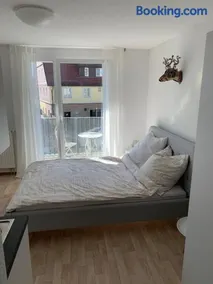 1-Zi. Apartment, Echterdingen bei Flughafen/Messe Stgt. - Image 3