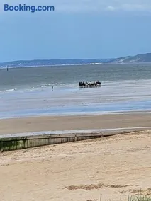 De la mer - Image 1