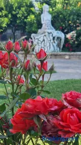 La casa dell'artista - Image 3