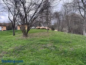 Pensiunea Valea Veveritelor - Image 1