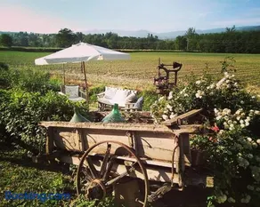 Podere Casina Rossa - Image 1