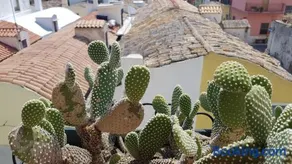 Ninetta's apartment - Bernalda (Matera) - Image 2