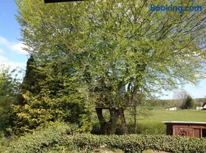 Treehouse escape - Image 3