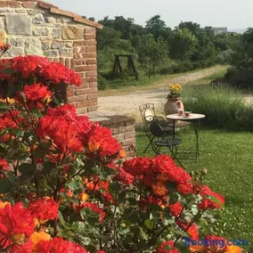 Agriturismo Valiana - Image 2