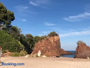 Le Sud - Image 3
