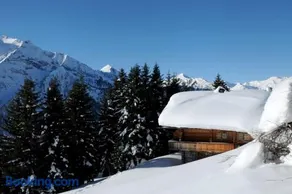 Brandstatt Alm - Image 4