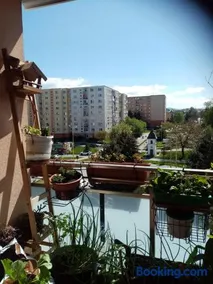 Pohodlná bytovka - Image 1