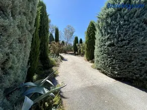 La Sécatée - Superbe Villa en Provence Alpilles - Image 3