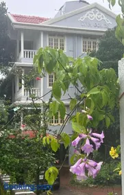 Diva Gomes Guest House - Image 1