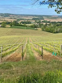 Chambre d'hôtes climatisée Auvergne proche Issoire - Image 2