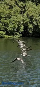 Floating tranquility - Image 4