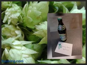 Holledauer Hopfakammerl - Image 2
