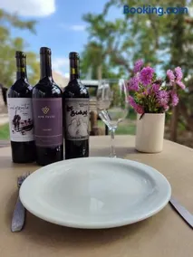 Entre racimos, glamping entre viñedos en bodega - Image 2