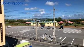 ジンジャー - Image 2