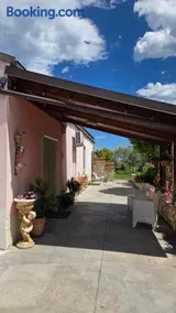 La Margherita - Image 4
