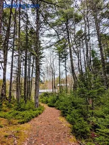 Lake front cottage 5 bedrooms bright open concept - Image 2