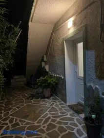 Olive - Image 2