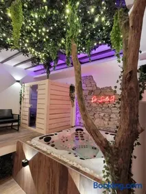 Grenoble LA SUITE 2 spa jaccuzzi et sauna privatif - Image 3