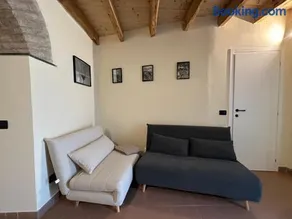 Vitis Verde - Image 2