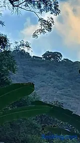 Camping São Conrado com cachoeira exclusiva, perto da praia e da Pedra Bonita - Image 1