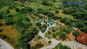 Oikies Verde - Image 2