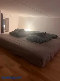 Beautiful Apartment with a Loft - Image 3