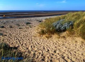 Sunnyside - Image 4